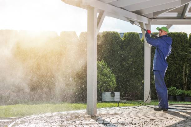 Best Sidewalk and Walkway Cleaning  in Sanford, FL